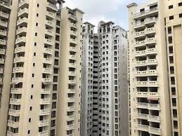 UP News : नोएडा प्राधिकरण का नया आदेश: फ्लैट की बालकनी से हटाएं गमले, नहीं तो FIR तय